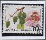 Stamps North Korea -  Setas y Frutos Silvestres: Placomyces Agaricus y Actinidia arguta