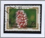 Stamps North Korea -  Flores Alpinas: Bistorta incana