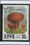 Stamps North Korea -  Hongos: Craniformis Calvatia
