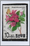 Stamps North Korea -  Flores: Bouganvillea Spectabilis