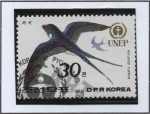 Stamps North Korea -  Dia mundial d' medio Ambiente: Golondrina comun