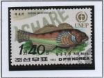Stamps North Korea -  Dia mundial d' medio Ambiente: Pez Cottus poecilopus