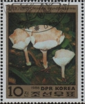 Stamps North Korea -  Setas y Minerales: Infundibuliformis Clitocybe