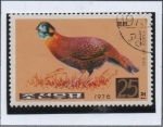Stamps North Korea -  Faisanes: Faisán Cobre