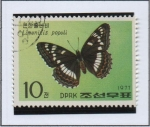 Stamps North Korea -  Mariposas: Colias Limenitis populi