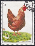Stamps United Arab Emirates -  Gallina