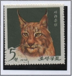 Stamps North Korea -  Pyongyang Zoo: Lynx