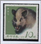 Stamps North Korea -  Pyongyang Zoo: Jabalí