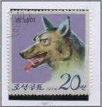 Stamps North Korea -  Pyongyang Zoo: Lobo