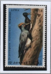 Stamps North Korea -  Pajaro Carpintero: en troco d' arbol