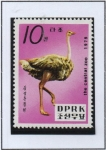 Stamps North Korea -  Pyongyang Zoo: Avestruz