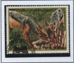Stamps North Korea -  Animales Salvajes: Chacales d' lomo negro