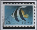 Stamps North Korea -  Peces Tropicales: Heniochus acuminatus