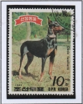 Stamps North Korea -  Dobermann Pinscher