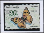 Stamps North Korea -  Mariposas e Insectos: Dilipa Fenestra