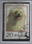 Stamps North Korea -  Perros: Rykwoli