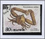 Stamps North Korea -  Cangrejos: Platylambrus validus