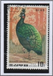 Sellos de Asia - Corea del norte -  Pavo Real: Congo peafowl Afropavo congensis