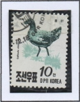 Stamps North Korea -  Aves: Pollo d' Agua