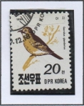 Stamps North Korea -  Aves: Arrendajo