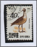 Stamps North Korea -  Aves: Zarapito trinador