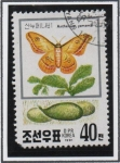 Stamps North Korea -  Polillas d' Seda: Antheraea yamamai