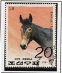 Stamps North Korea -  Caballos Salvajes: 