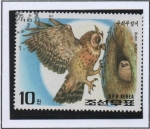 Stamps North Korea -  Aves d' Presa: Gran Buho d' Cuernos