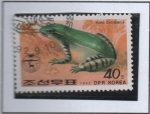 Stamps North Korea -  Ranas y Sapos: Rana chosenina