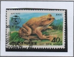 Stamps North Korea -  Ranas y Sapos: Sapo común