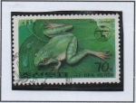 Stamps North Korea -  Ranas y Sapos: Sapo d' arbol Japones