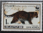 Stamps North Korea -  Leopardo: en la nieve