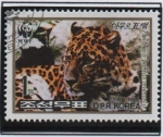 Stamps North Korea -  Leopardo: Mirando izquierda