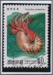 Stamps North Korea -  Cefalópodos: Nautilo