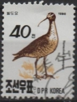 Stamps North Korea -  Aves: Zarapito trinador