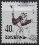 Stamps North Korea -  Avestruz