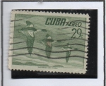 Stamps Cuba -  Pollo d' agua comun