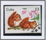 Stamps Cuba -  Animales d' Zoo: Ardillas