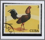 Stamps Cuba -  Gallos d' Pelea: Cenizo