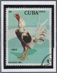 Stamps Cuba -  Gallos d' Pelea: Canelo