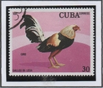 Stamps Cuba -  Gallos d' Pelea: Giro