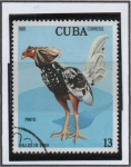 Stamps Cuba -  Gallos d' Pelea: Pinto