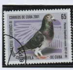 Sellos de America - Cuba -  Palomas: Empedrado oscura