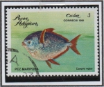 Stamps Cuba -  Peces. Mariposa