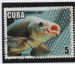 Sellos de America - Cuba -  Acuicultura: Trinca