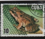 Sellos de America - Cuba -  Acuicultura: Rana temporaria