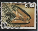 Stamps Cuba -  Acuicultura: Mytius Edulis