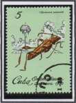 Stamps Cuba -  Insectos: Odotoncera