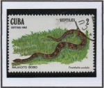 Stamps Cuba -  Reptiles: Majacito bobo