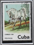 Stamps Cuba -  Caballo